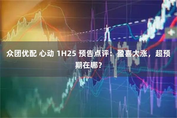 众团优配 心动 1H25 预告点评：盈喜大涨，超预期在哪？