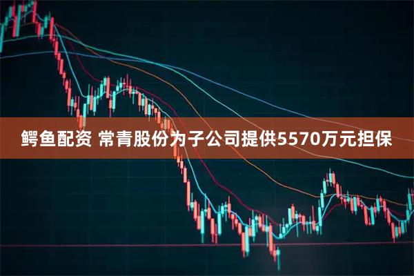 鳄鱼配资 常青股份为子公司提供5570万元担保
