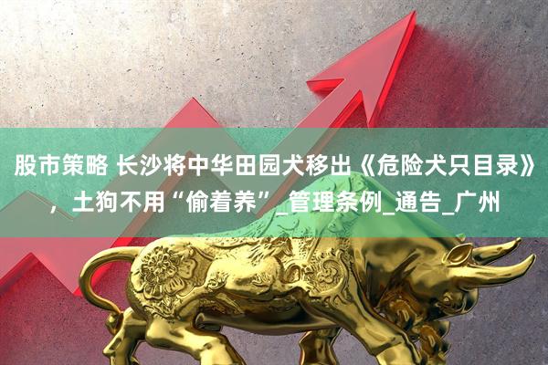 股市策略 长沙将中华田园犬移出《危险犬只目录》，土狗不用“偷着养”_管理条例_通告_广州