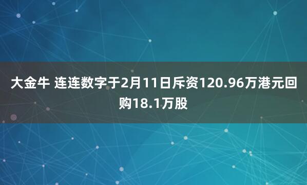 大金牛 连连数字于2月11日斥资120.96万港元回购18.1万股