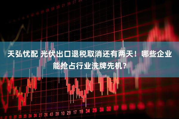 天弘忧配 光伏出口退税取消还有两天！哪些企业能抢占行业洗牌先机？