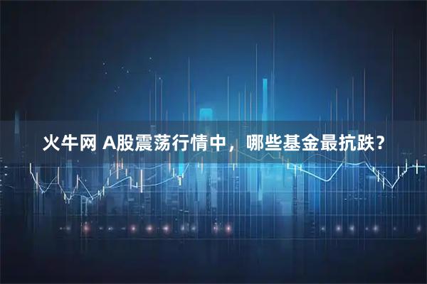 火牛网 A股震荡行情中，哪些基金最抗跌？