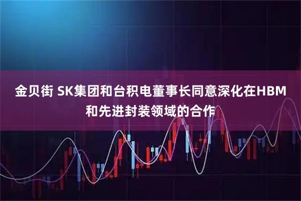 金贝街 SK集团和台积电董事长同意深化在HBM和先进封装领域的合作