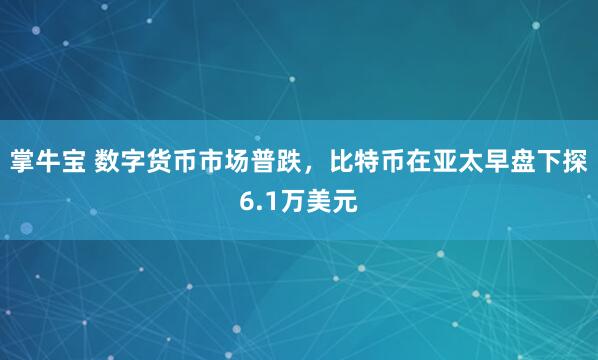 掌牛宝 数字货币市场普跌，比特币在亚太早盘下探6.1万美元