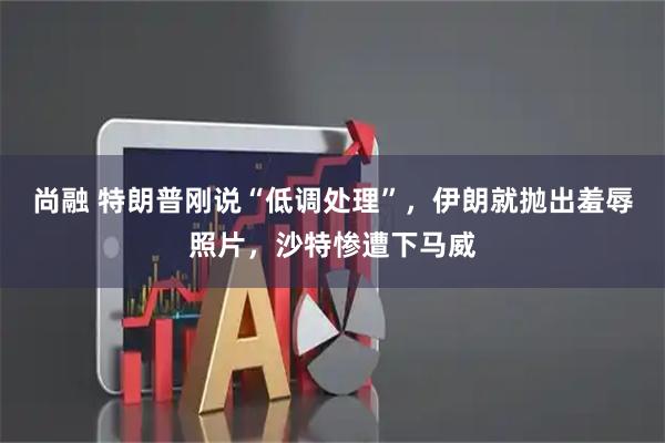尚融 特朗普刚说“低调处理”，伊朗就抛出羞辱照片，沙特惨遭下马威